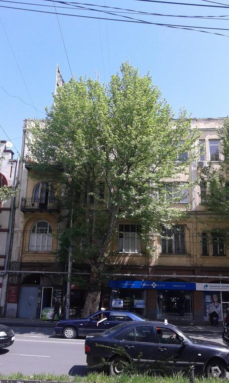 Vera Garden Apartment Tbilisi Eksteriør bilde